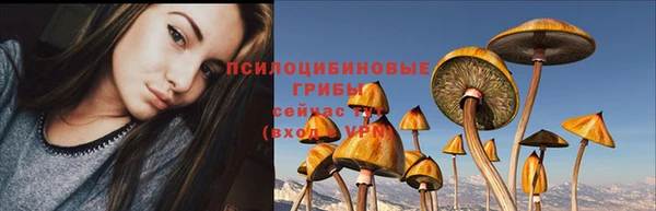 индика Абдулино