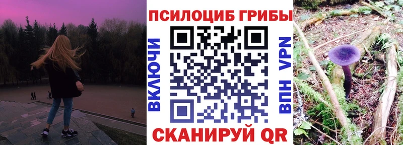Псилоцибиновые грибы Cubensis  наркотики  кракен ТОР  Кирсанов 